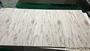Placaj fag 2000x1250x5mm cal. D/D - lot 100 foi