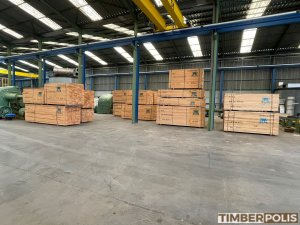 STOCK DE MADERA TROPICAL DISPONIBLE – ENTREGA INMEDIATA