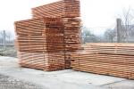 Fichte Bauschnittholz | Weichholz | Schnittholz | MP-HOLZ, s.r.o.