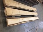 Linde Tischlerschnittholz | Hartholz | Schnittholz | JAF HOLZ Slovakia