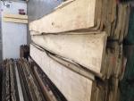 Linde Tischlerschnittholz | Hartholz | Schnittholz | JAF HOLZ Slovakia