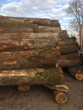 Eiche Furnierrundholz | Hartholz | Rundholz | D&C SNEGL