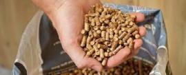 Pellets Kiefer | Brennstoff, Briketts | SCOPULUS Handels-und Dienstleistungs GmbH