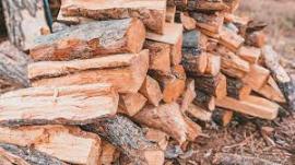 Brennholz Birke |  Brennstoff, Briketts | SCOPULUS Handels-und Dienstleistungs GmbH 