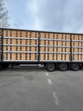 Paletten Einwegpaletten | Verpackungen, Paletten | Woodproo s.r.o.