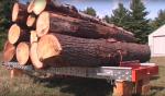 Stammbandsäge Kanada -HD36 |  Sägetechnik | Holzverarbeitungs-Maschinen | Drekos Made s.r.o