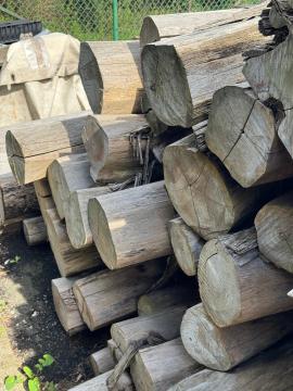 Teak Sägerundholz |  Tropische Gehölze | Rundholz | SOFT IT SP .ZO.O SPÓŁKA Z OGRANICZONĄ ODPO