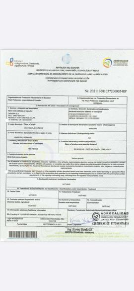 Teak Sägerundholz |  Tropische Gehölze | Rundholz | SOFT IT SP .ZO.O SPÓŁKA Z OGRANICZONĄ ODPO