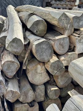 Teak Sägerundholz |  Tropische Gehölze | Rundholz | SOFT IT SP .ZO.O SPÓŁKA Z OGRANICZONĄ ODPO