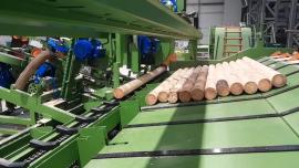 Andere Technik Kompletn výroní Linka kulů . |  Sägetechnik | Holzverarbeitungs-Maschinen | Drekos Made s.r.o